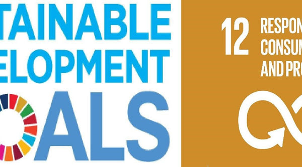Sustainable Development Goals: Responsible Consumption & Production