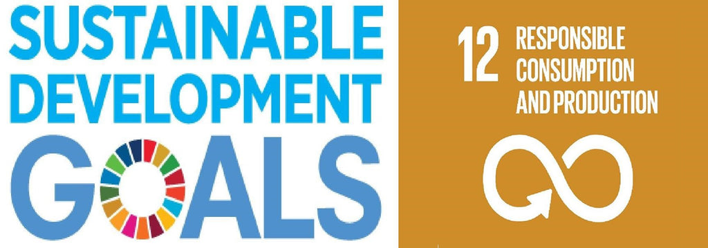 Sustainable Development Goals: Responsible Consumption & Production