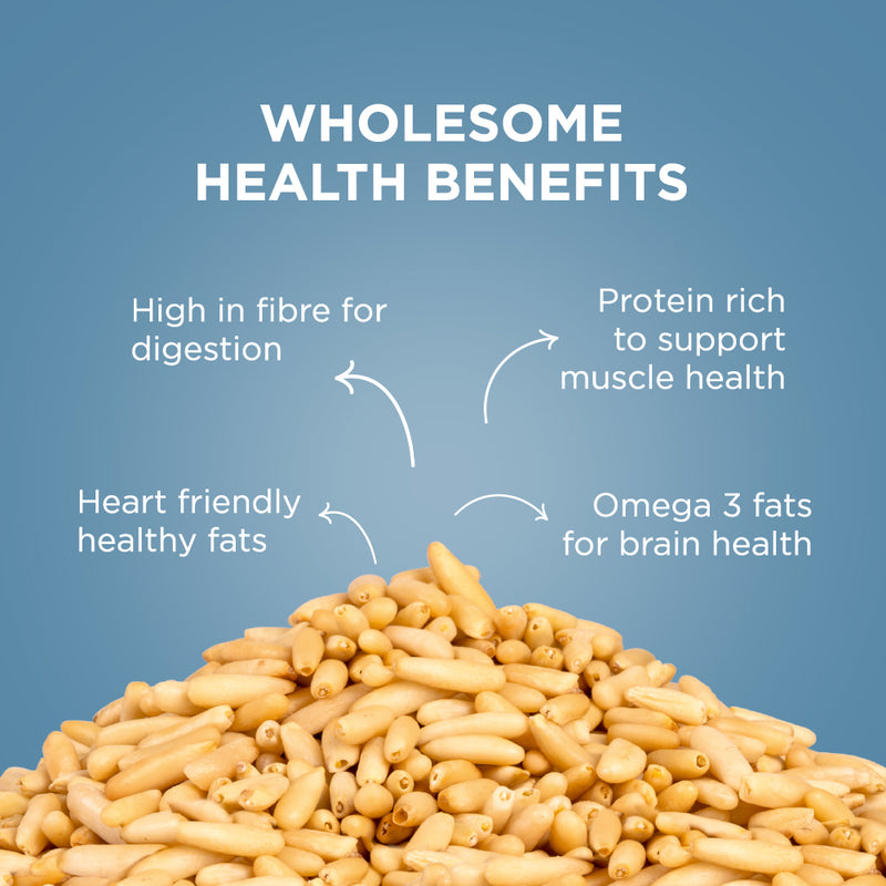 Raw Pine Nuts - 100g