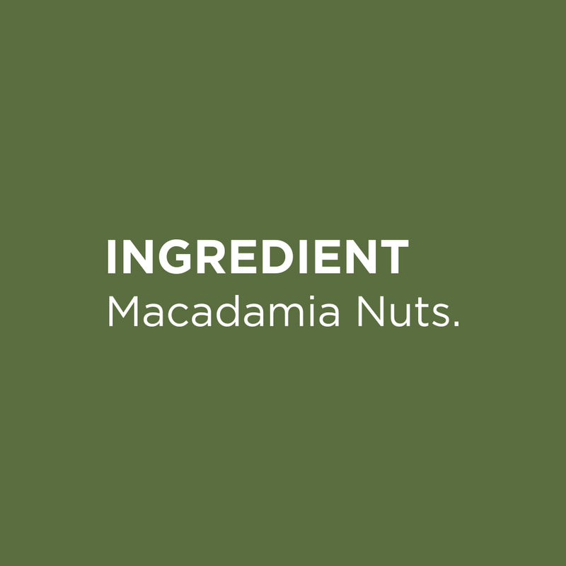 Raw Macadamia Nuts - 100g