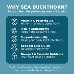 Nutty Gritties Sea Buckthorn Berries 100g | Made in India | Sourced from Ladakh