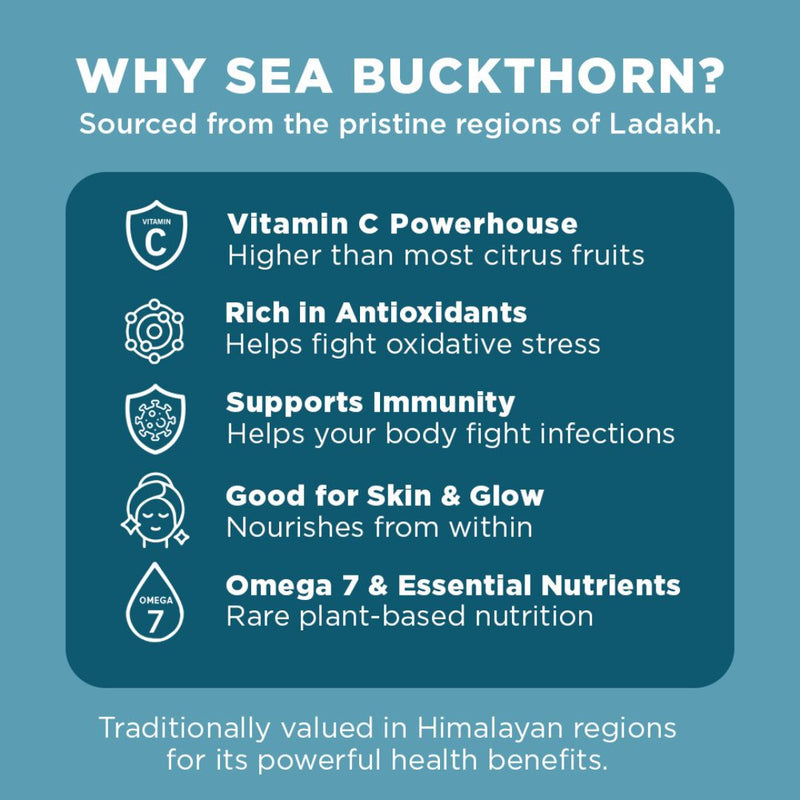 Nutty Gritties Sea Buckthorn Berries 100g | Made in India | Sourced from Ladakh