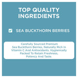 Nutty Gritties Sea Buckthorn Berries 100g | Made in India | Sourced from Ladakh