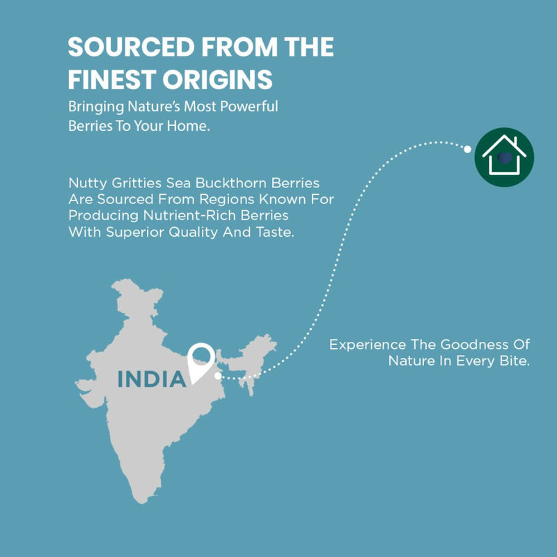 Nutty Gritties Sea Buckthorn Berries 100g | Made in India | Sourced from Ladakh